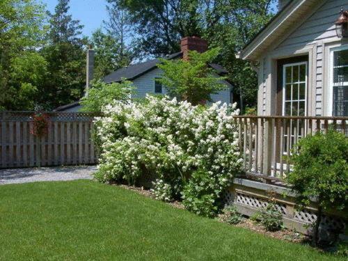 Niagara-on-the-Lake Antique Slumber Old Town Bed & Breakfast المظهر الخارجي الصورة
